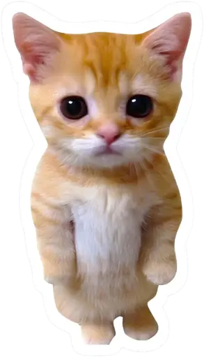 Cat sticker